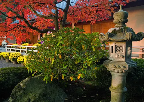 Portland Japanese Garden