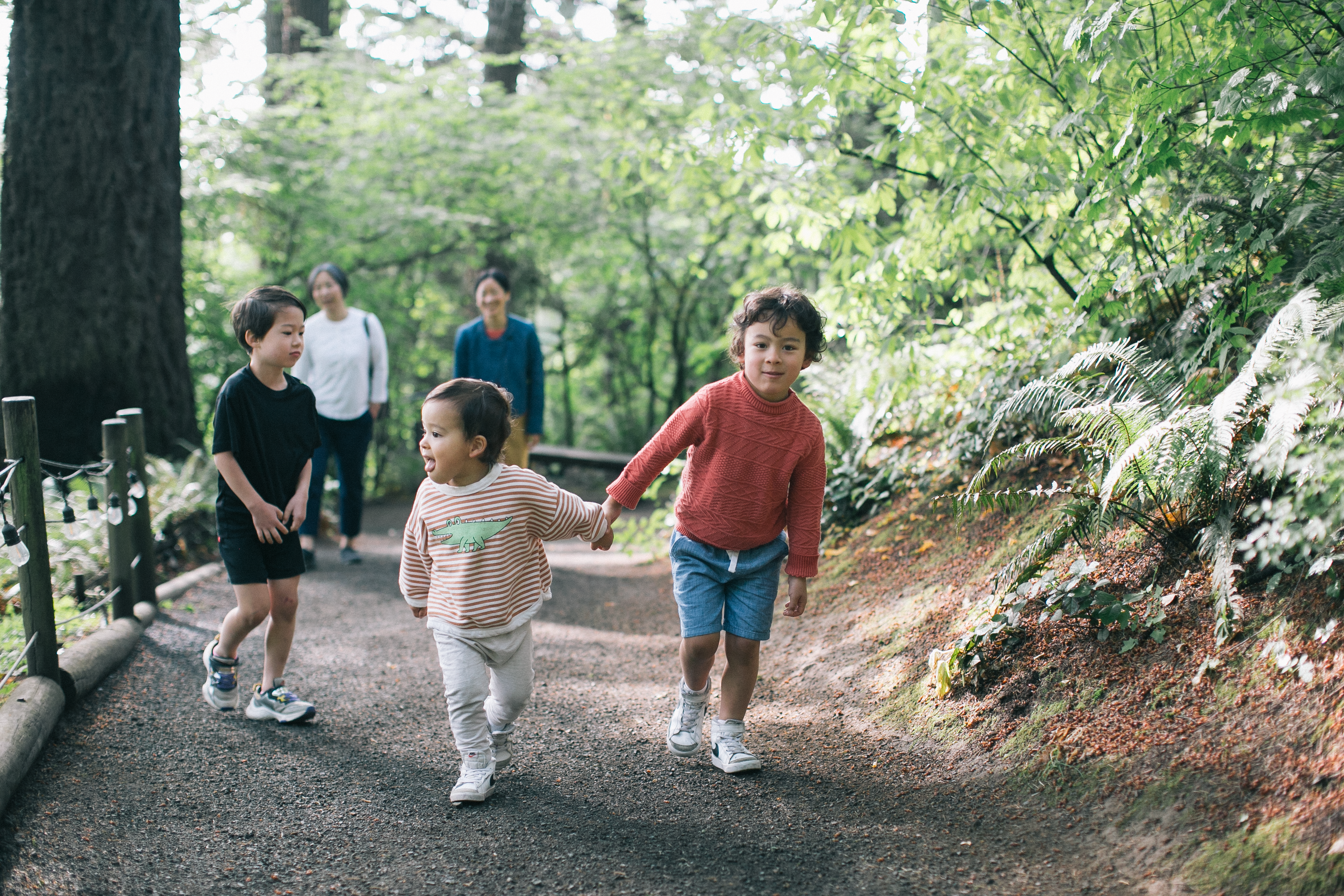 How to Explore Washington Park without a Car