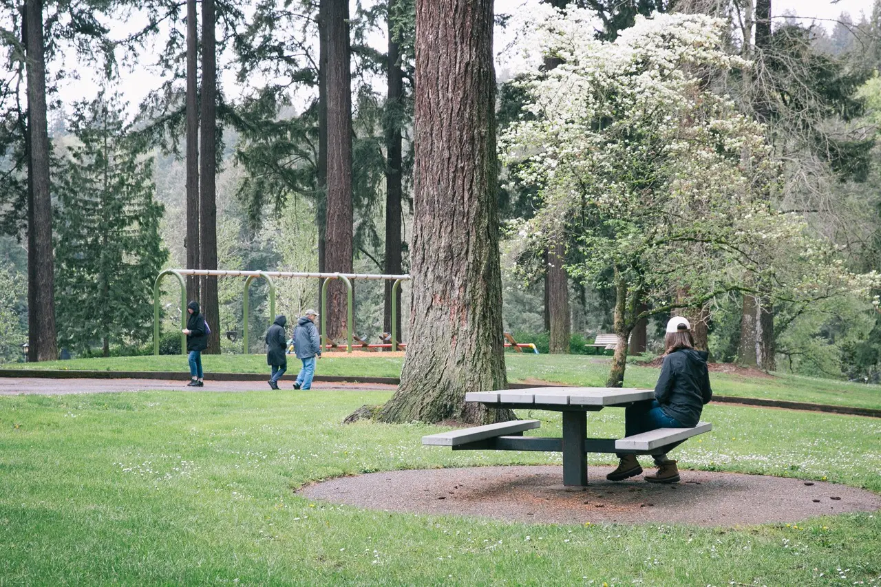 Free Things to Do in Washington Park: Insider Guide