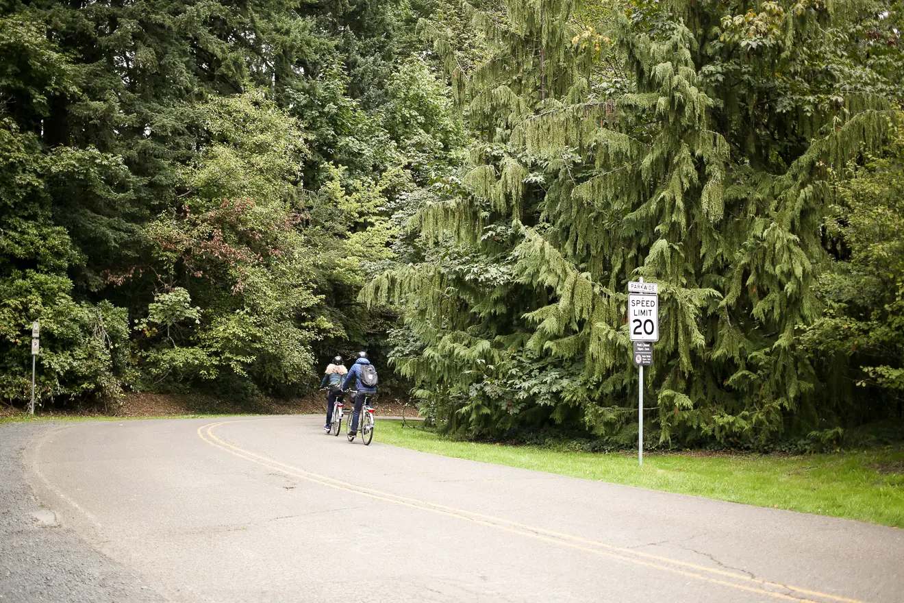 Biking in Washington Park: Where to Ride and How to Get Around
