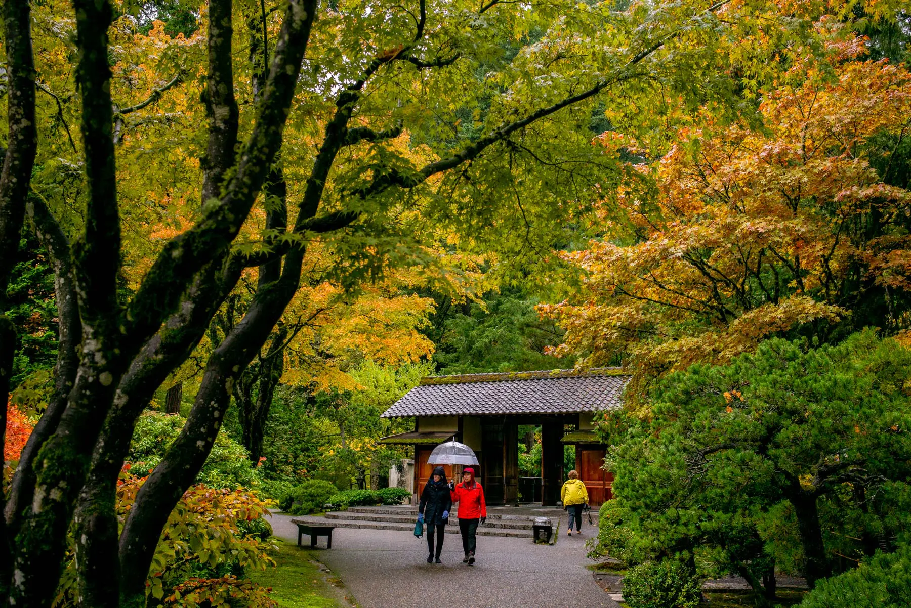 5 Rainy Day Activities in Washington Park