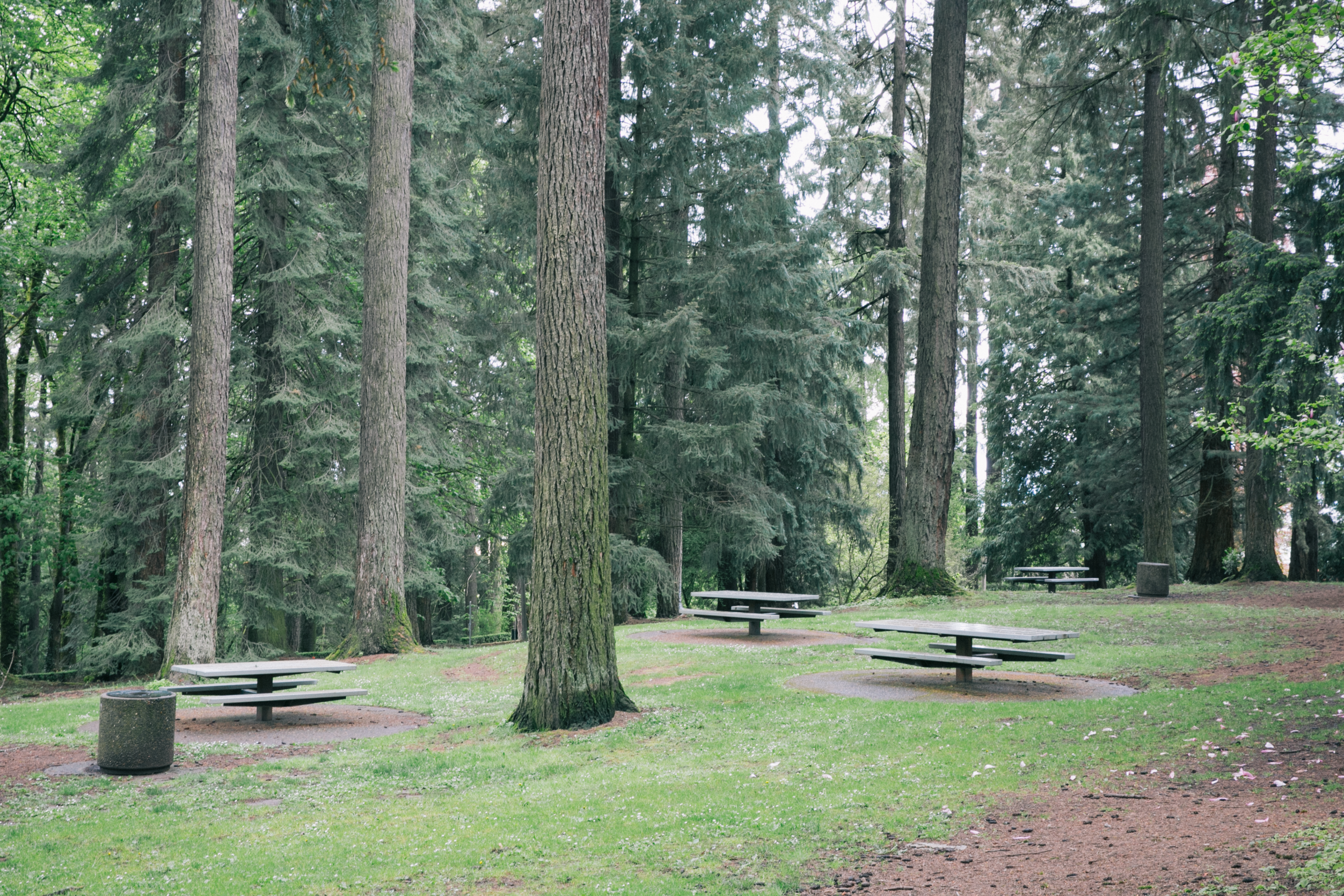5 Perfect Picnic Spots in Washington Park