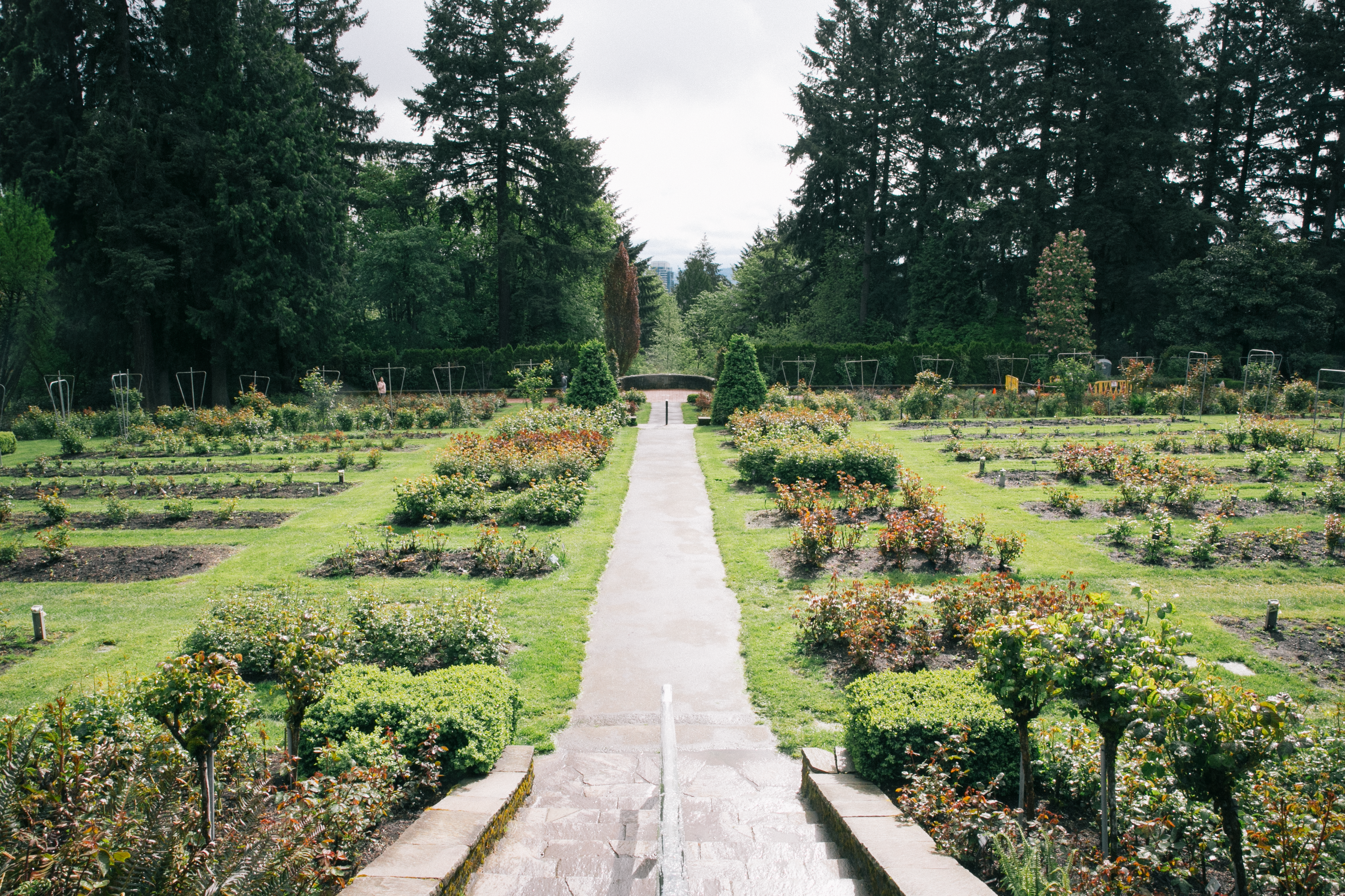 Washington Park’s Top 5 Selfie Spots