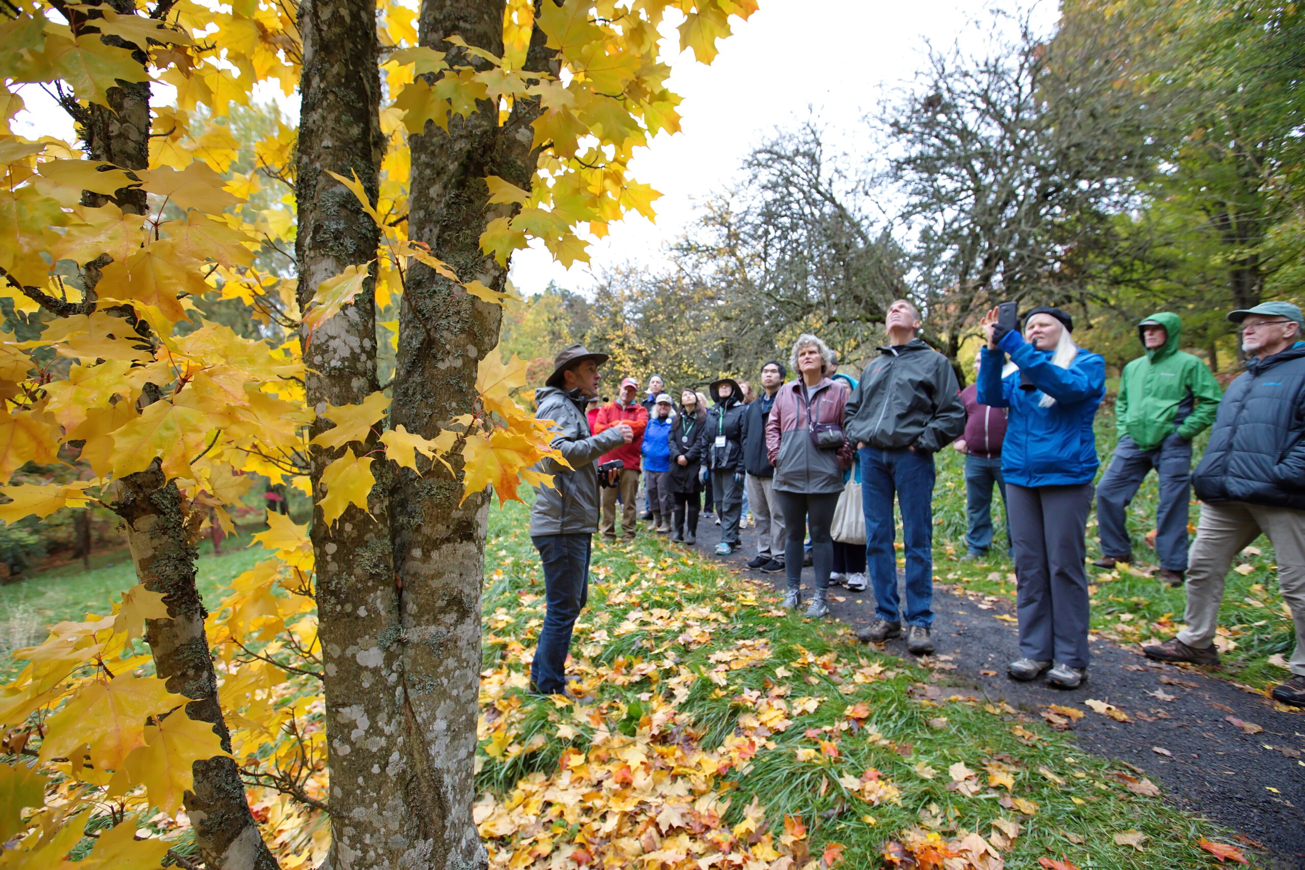 Hoyt Arboretum in Fall and Winter: A Seasonal Sanctuary of Nature, Exploration, and Creativity