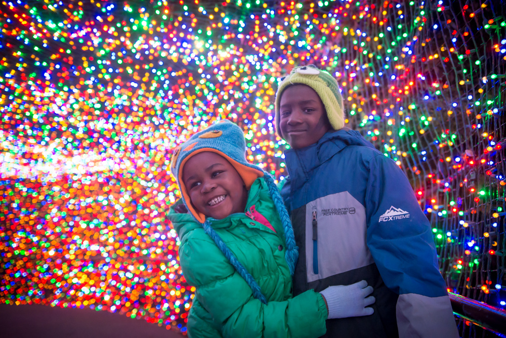 Your Guide to a Stress-Free ZooLights