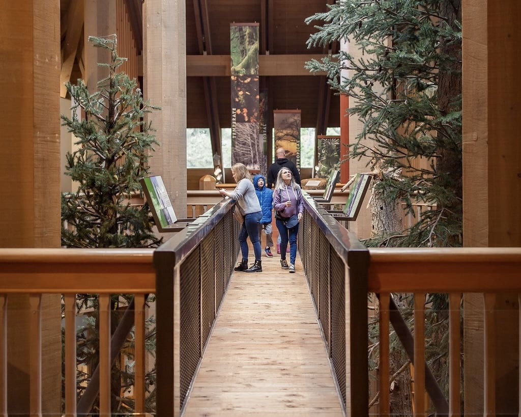 World Forestry Center: Doubling Attendance in 2025
